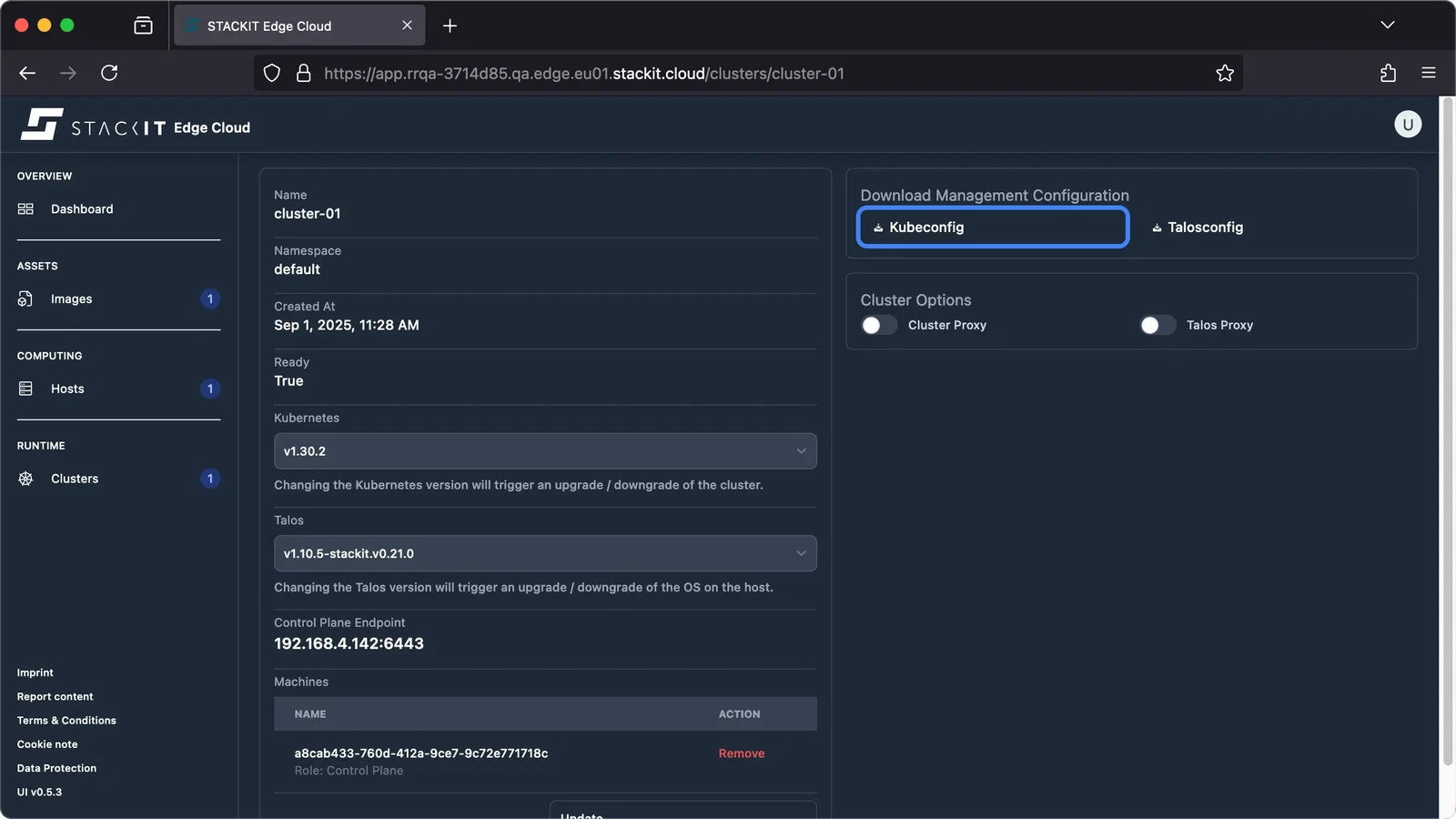 A screenshot of the STACKIT Edge Cloud web interface, displaying the Cluster Details view for a cluster named cluster-01.