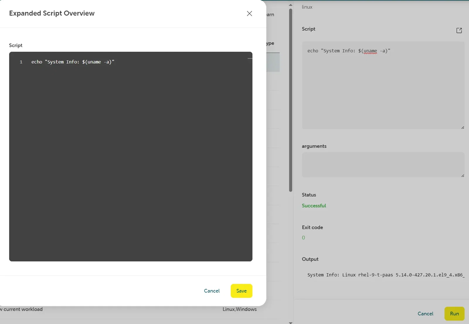 Screenshot of the STACKIT Cloud Portal showing the "Expanded Script Overview" modal window. Inside the dark gray input area, a single-line command "echo 'System Info: $(uname -a)'" is entered. The blurred execution pane in the background on the right shows a "Successful" status and a system information string printed inside the "Output" area.