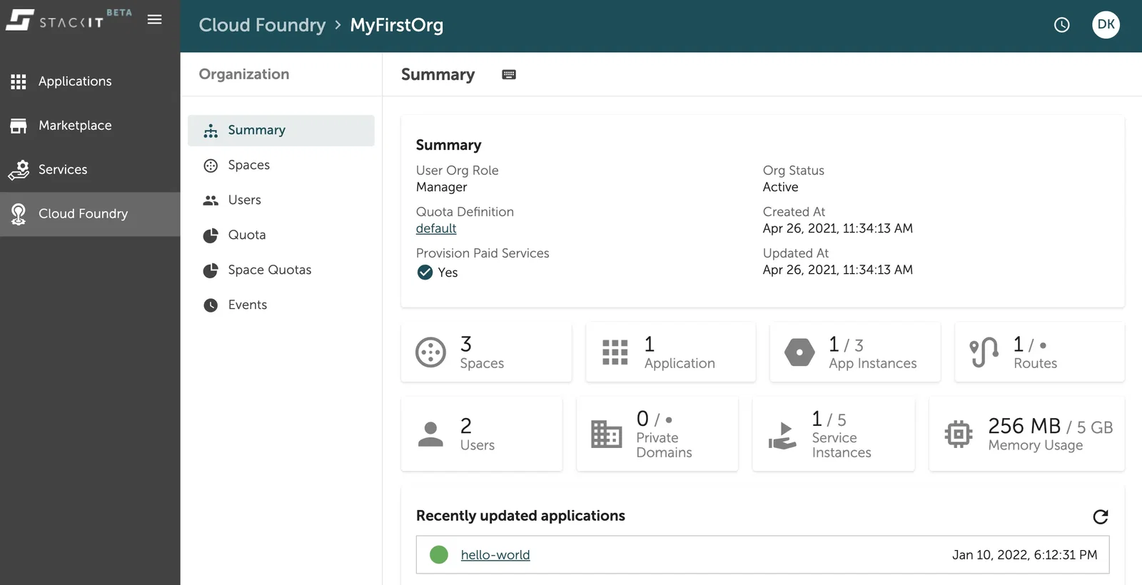 The overview of one organization within the console UI.