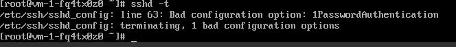A Linux terminal screenshot showing an error while checking the SSH daemon configuration.